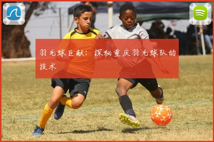 羽毛球巨献：探秘重庆羽毛球队的技术